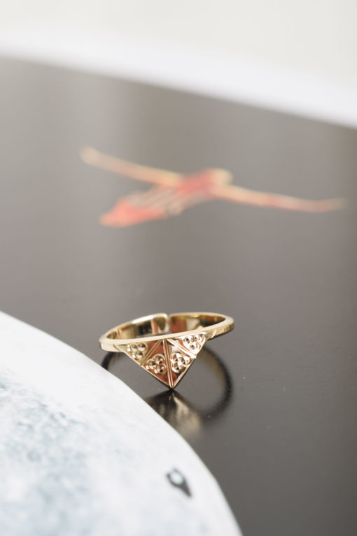 Cocotte BAG OR2 scaled